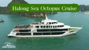 Halong Sea Octopus Cruise