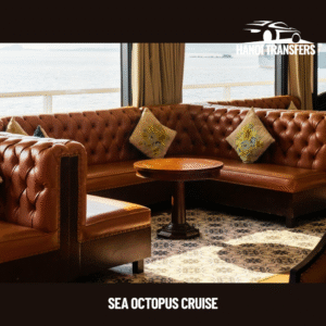 Halong Bay One Day Cruise (3)