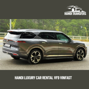 Hanoi Luxury Car Rental VF9 Vinfast (2)