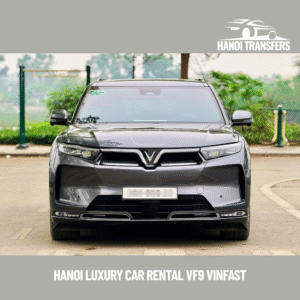 Hanoi Luxury Car Rental VF9 Vinfast (4)