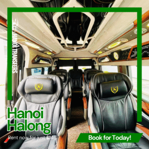 Hanoi to Halong Private Car (5)