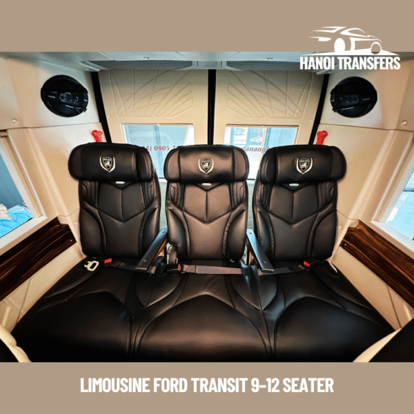 Limousine Vietnam Ford Transit 9–12 Seater (3)