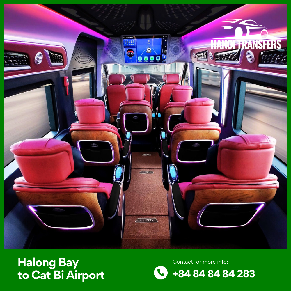 Vehicle Options for Your Journey