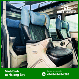 Vehicle Options for Every Traveler
