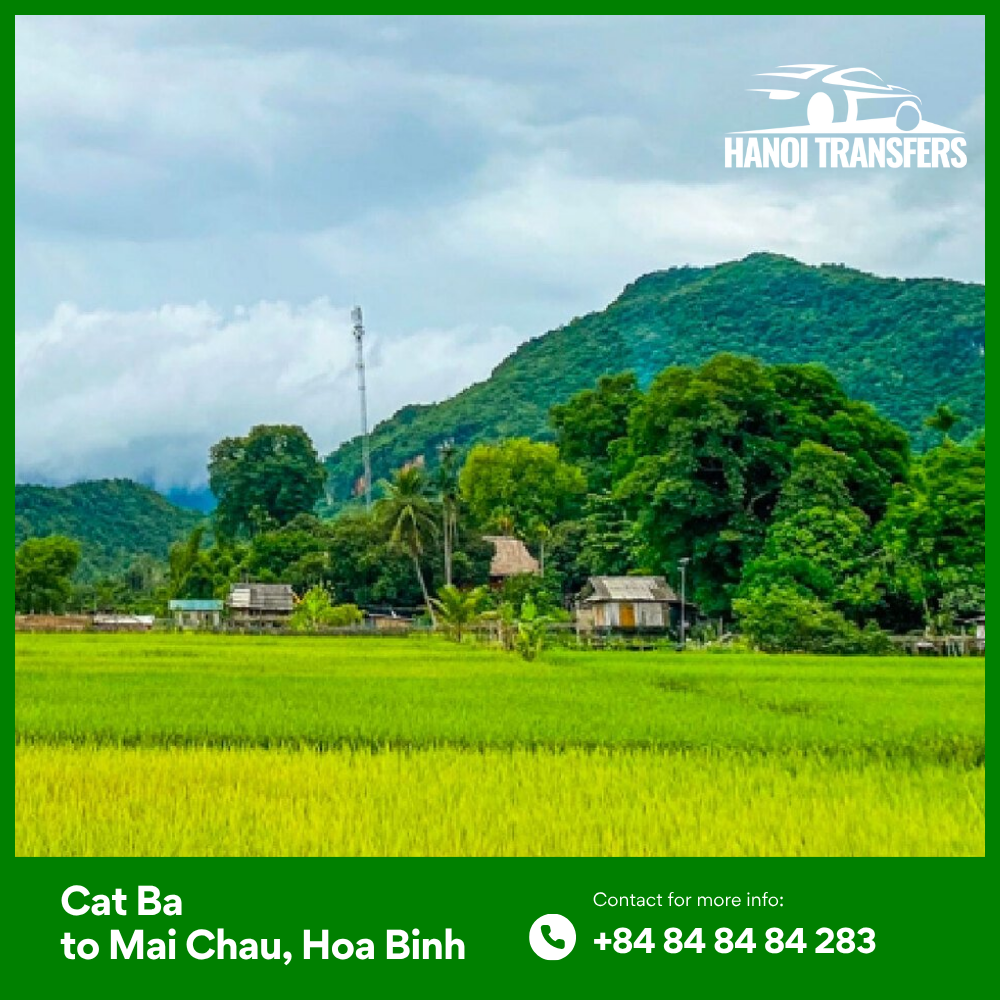 Cat Ba To Mai Chau Transport Guide