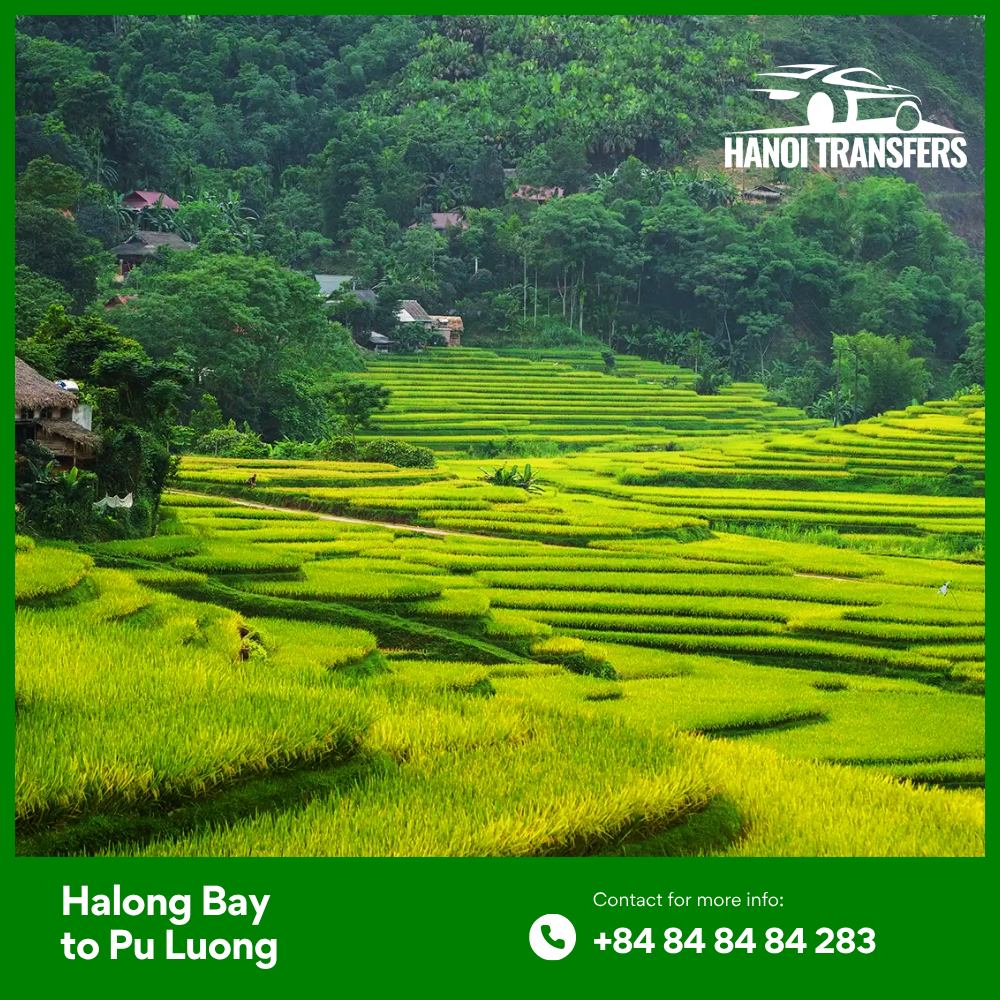 Halong Bay to Pu Luong Private Car Transfer