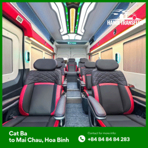 Our Fleet Tailored Vehicles for Every Traveler