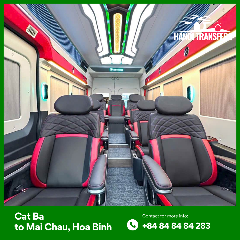 Our Fleet Tailored Vehicles for Every Traveler